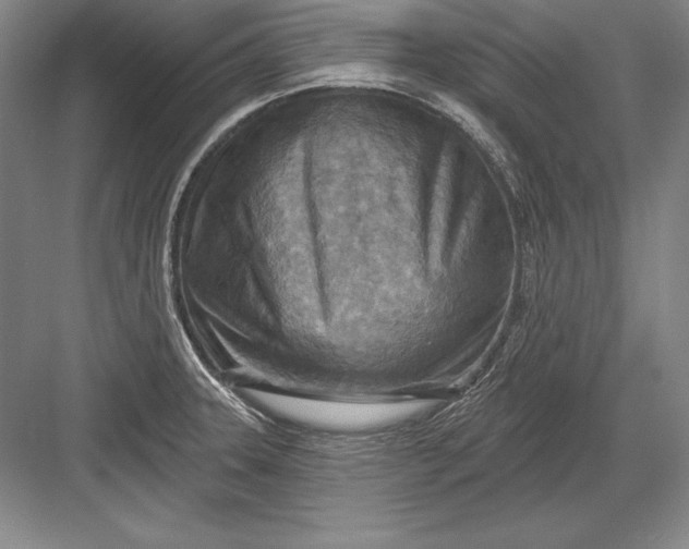 X0000082961331200702152256