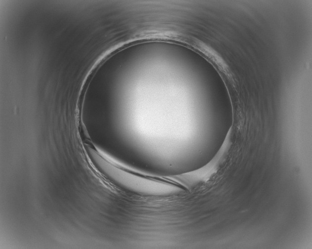 X0000082961332200702152256