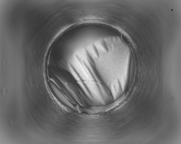 X0000082961333200702152256