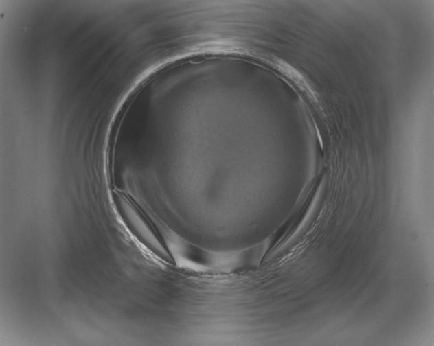 X0000082961334200702152256