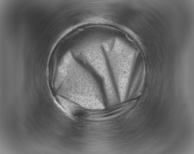 X0000082961335200702152256