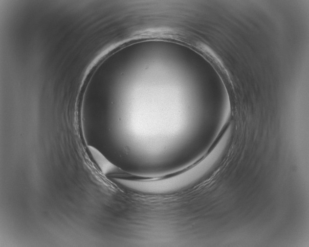 X0000082961336200702152256