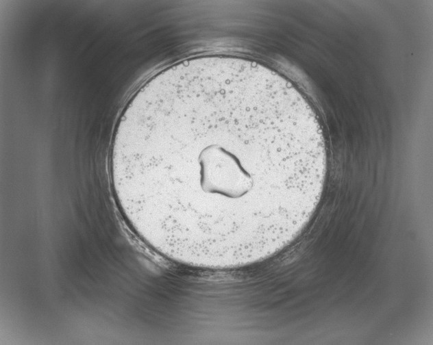 X0000082961338200702152256