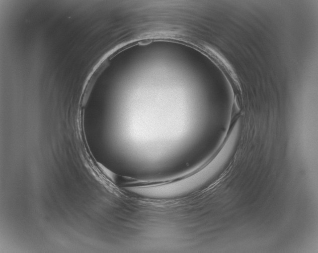 X0000082961340200702152256