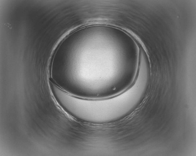 X0000082961341200702152256