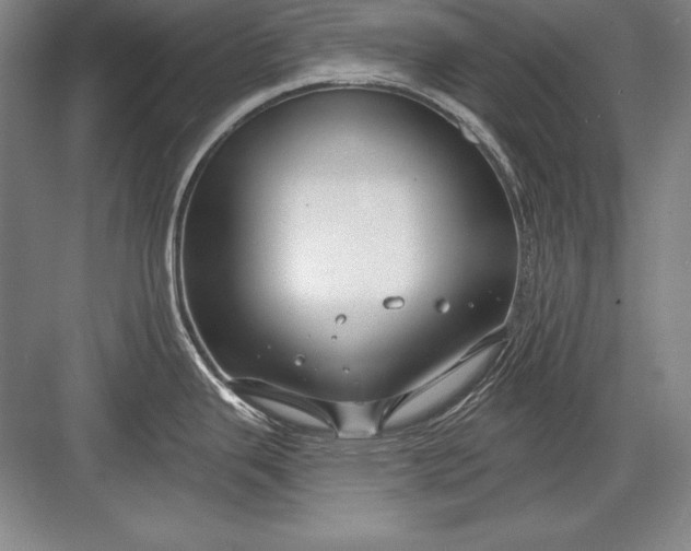 X0000082961343200702152256