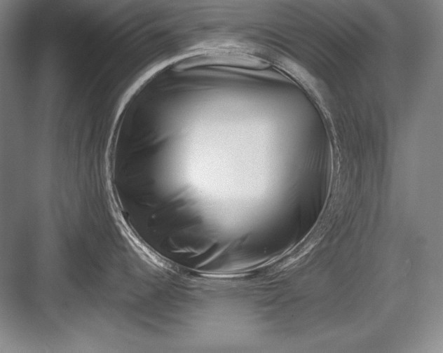 X0000082961344200702152256