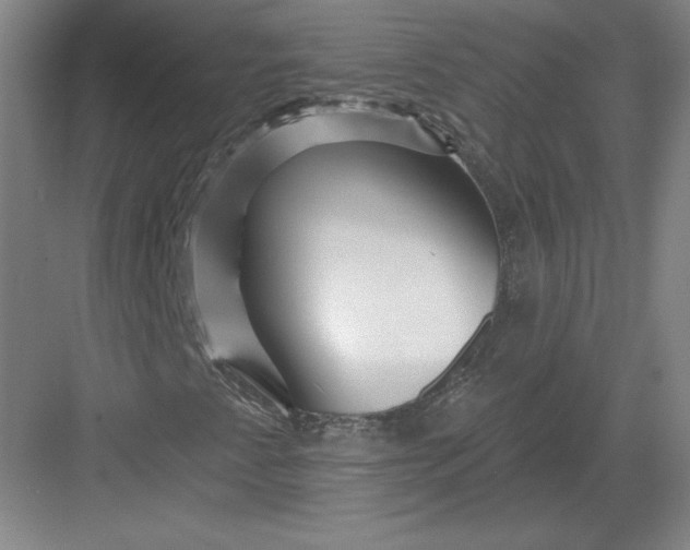 X0000082961345200702152255