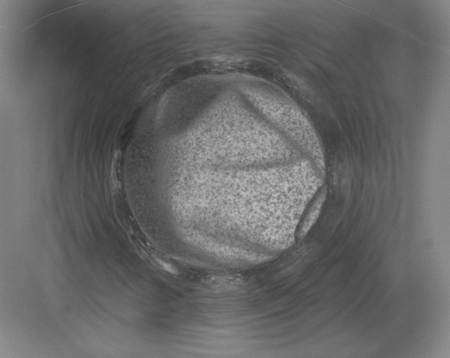 X0000082961346200702152255