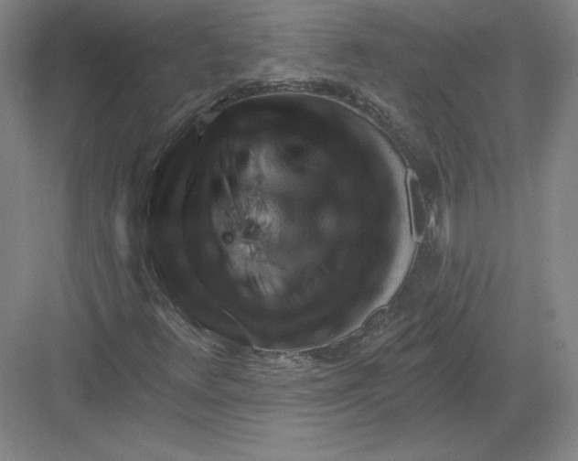 X0000082961348200702152255