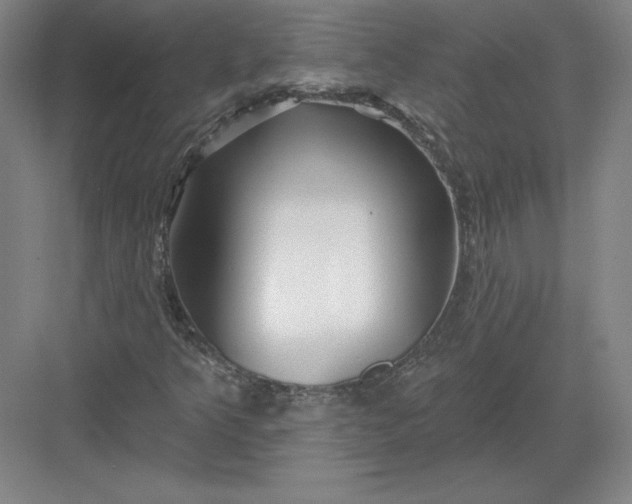 X0000082961349200702152255