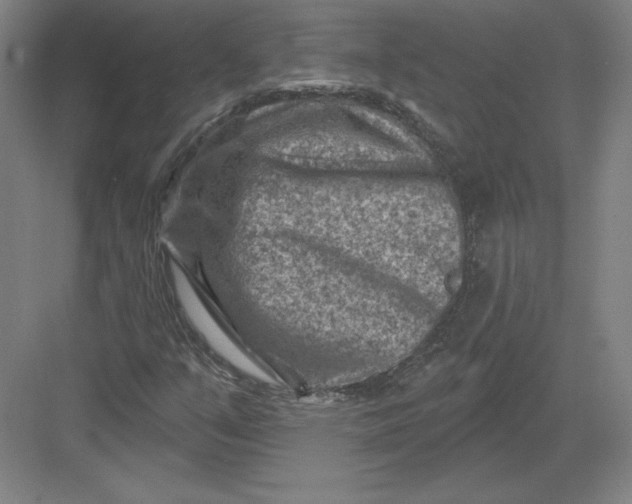 X0000082961351200702152255