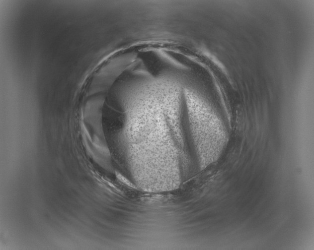 X0000082961352200702152255