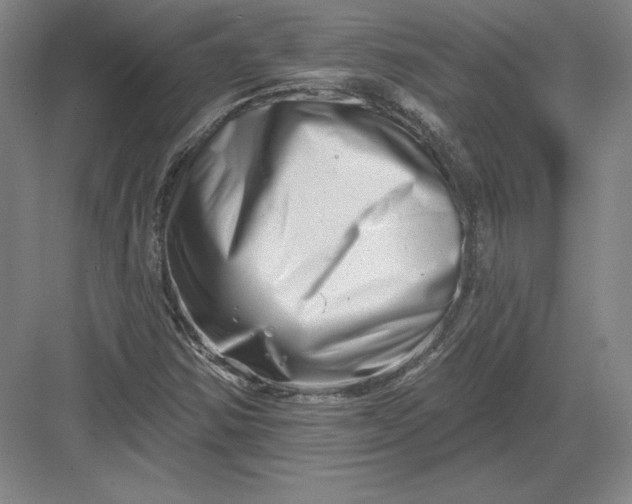 X0000082961354200702152255