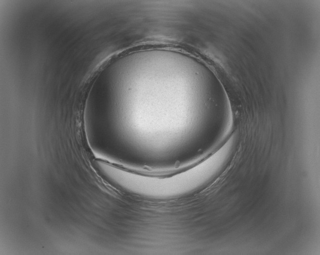 X0000082961355200702152255