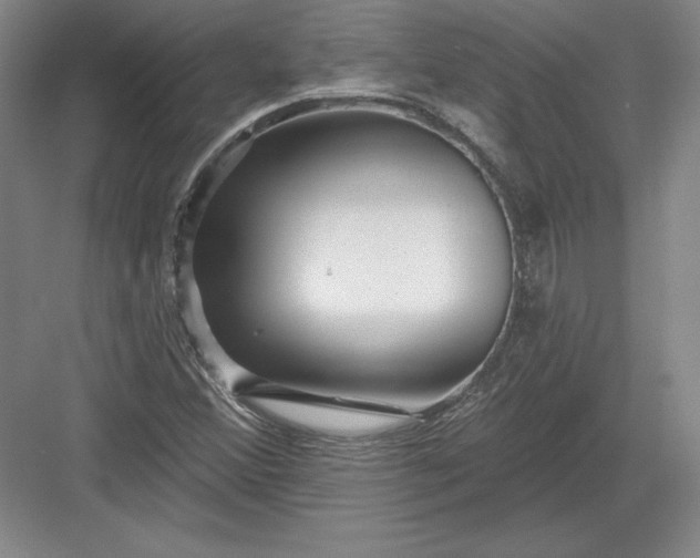 X0000082961356200702152255