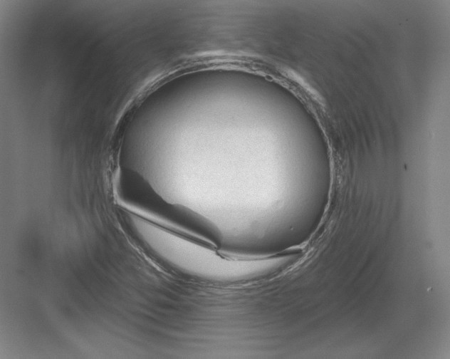 X0000082961357200702152255