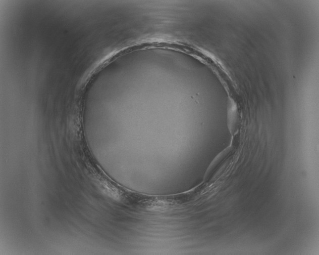 X0000082961359200702152255