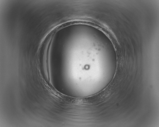 X0000082961360200702152255