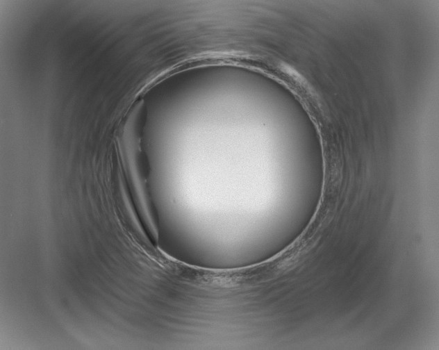 X0000082961361200702152255