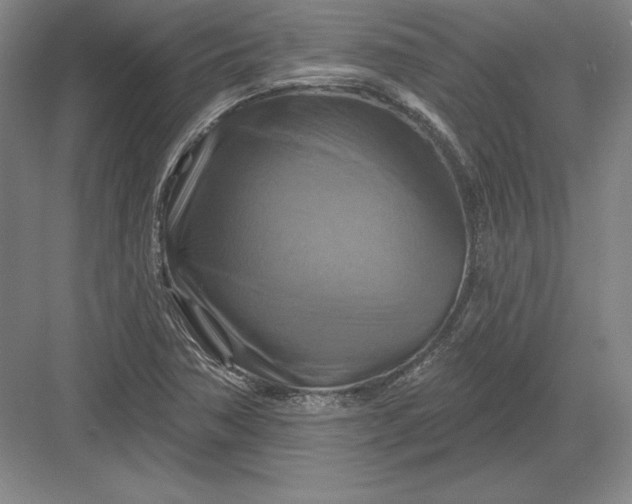 X0000082961362200702152255