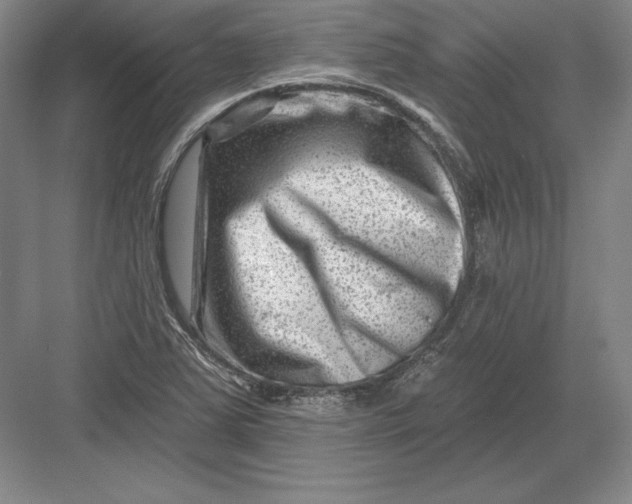 X0000082961363200702152255