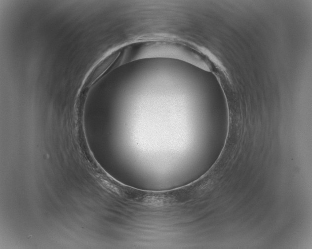 X0000082961364200702152255