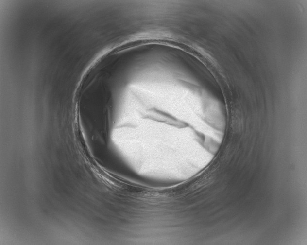 X0000082961366200702152255