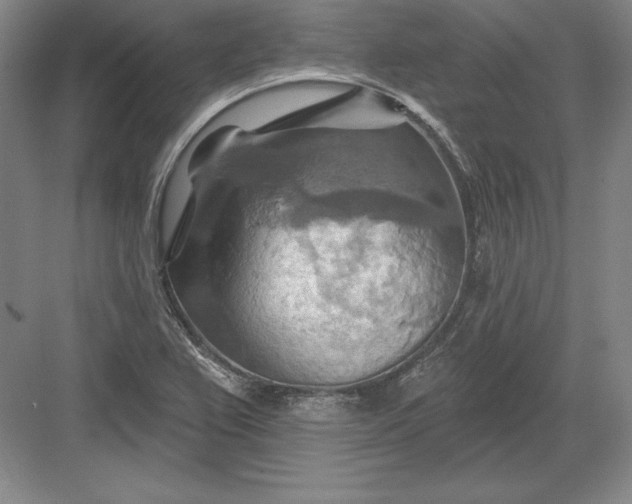 X0000082961367200702152255