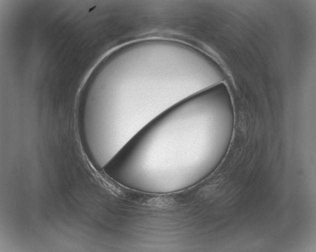 X0000082961368200702152255