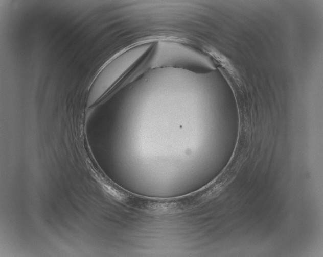 X0000082961369200702152255