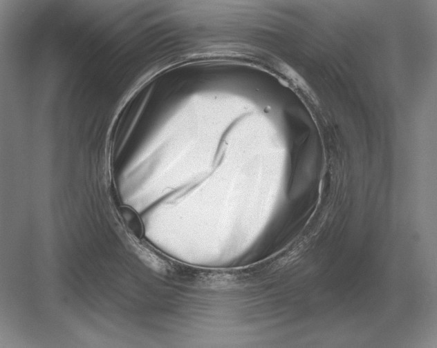 X0000082961370200702152255