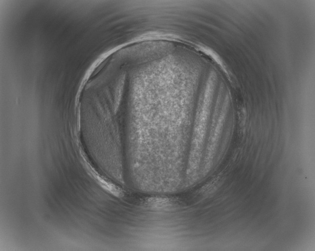 X0000082961371200702152255