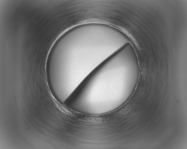 X0000082961372200702152255