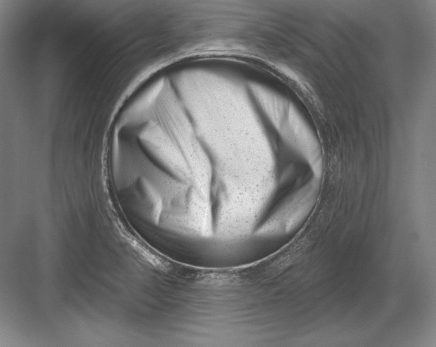 X0000082961374200702152255