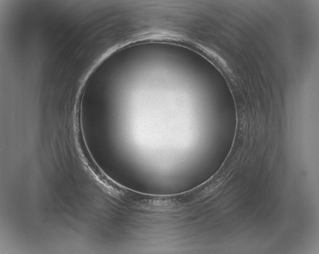 X0000082961375200702152255