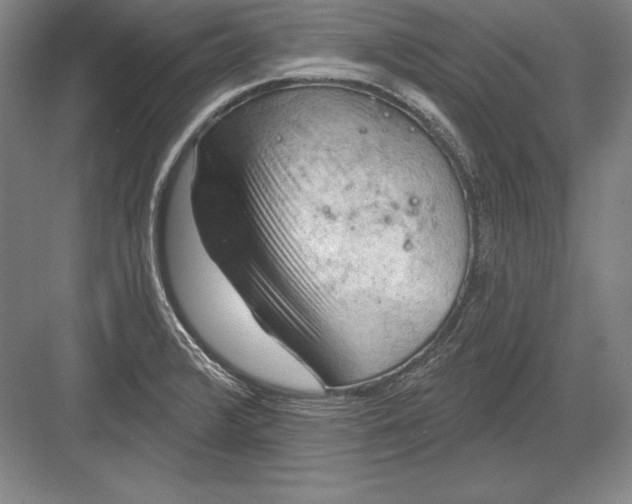 X0000082961376200702152255