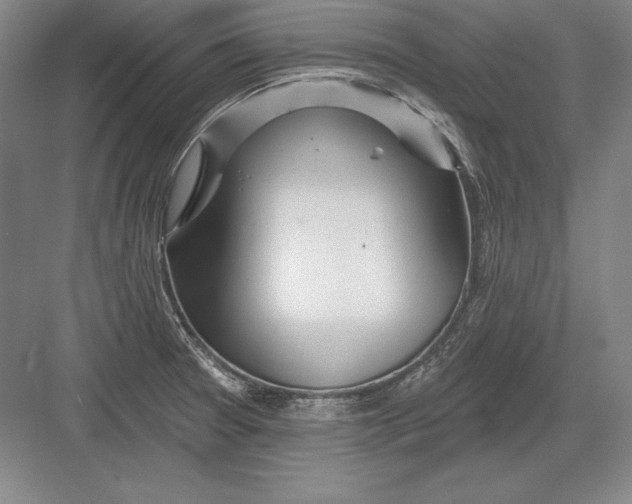 X0000082961377200702152254