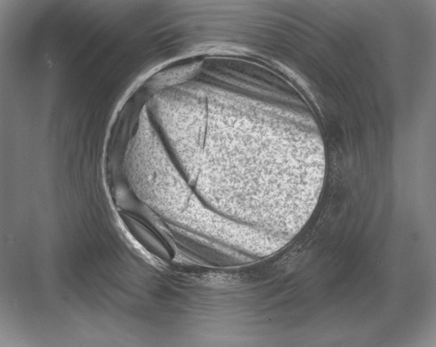 X0000082961379200702152254