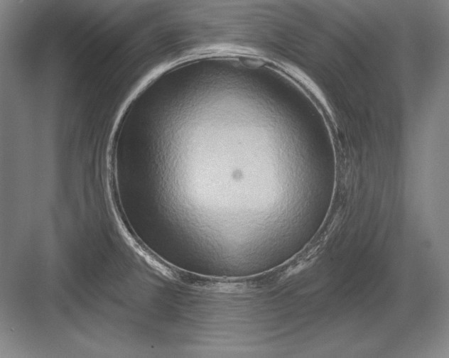 X0000082961381200702152254