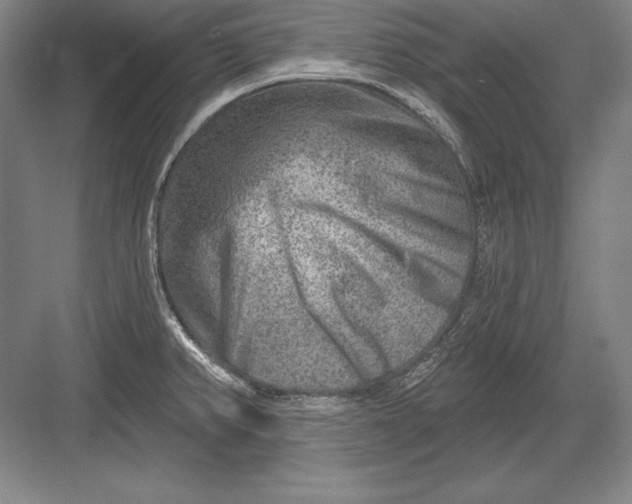 X0000082961382200702152254