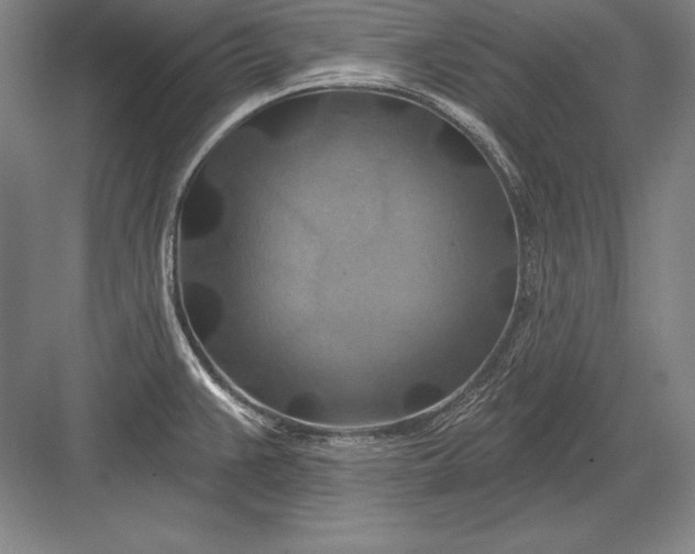 X0000082961383200702152254