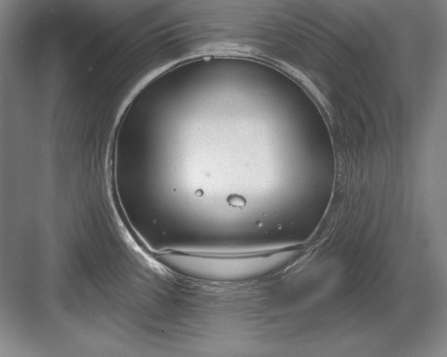 X0000082961387200702152254