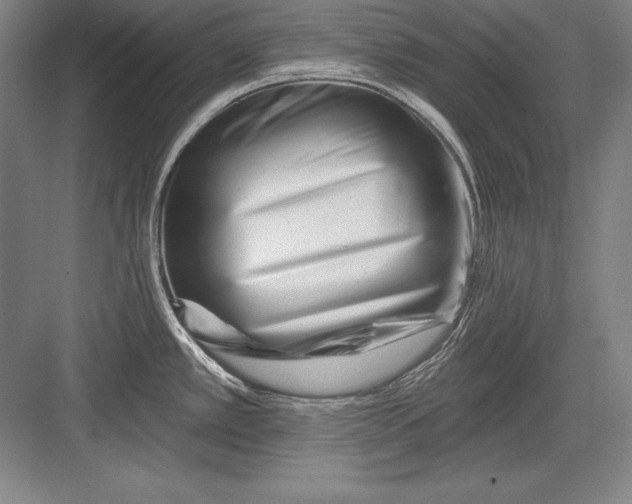 X0000082961389200702152254