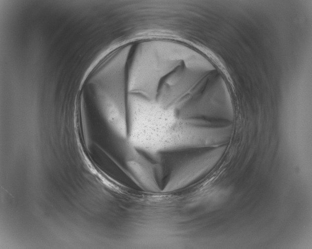 X0000082961390200702152254