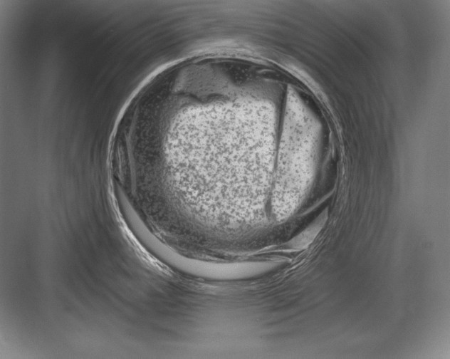 X0000082961392200702152254