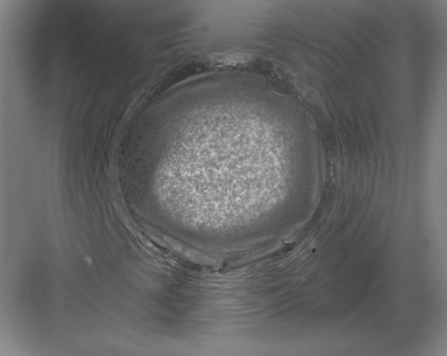 X0000082961393200702152253