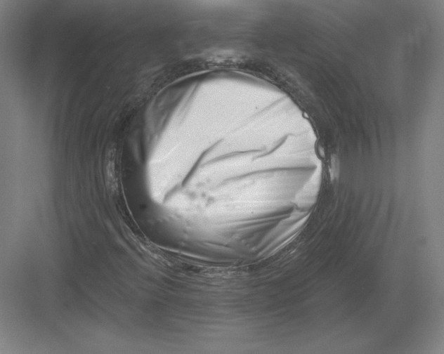 X0000082961396200702152253