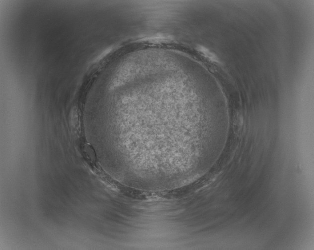 X0000082961398200702152254