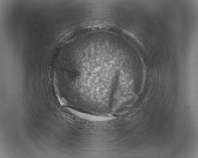 X0000082961399200702152254